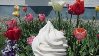 ジェラート以外にも