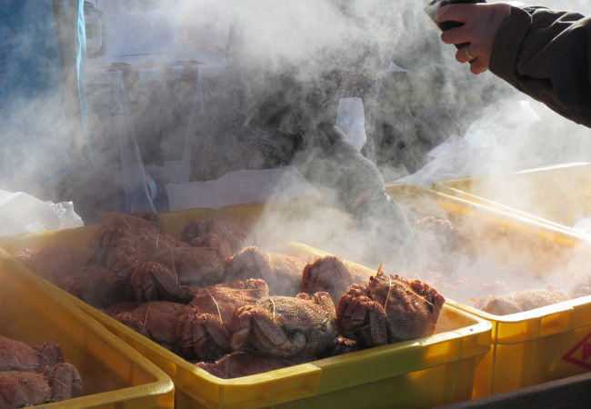 広尾毛がにまつり