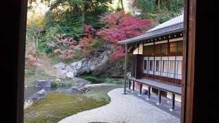 小さいけど落ち着いたお庭