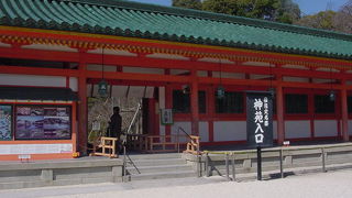 広々とした日本庭園です