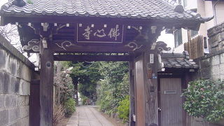 静かなたたずまいでした