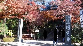 イメージ通りの禅寺