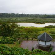 豊かな恵みをもたらしてくれた川