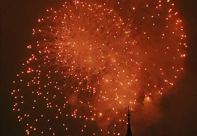シンデレラ城と花火