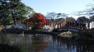 対照的な源平池