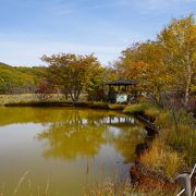 傍らには小さな小屋が建っていて