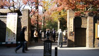 紅葉が綺麗です