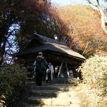 六義園 つつじ茶屋
