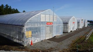 八幡平フラワーランド