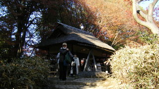 眺めが良かったです