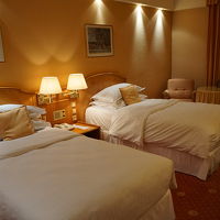 眺望はないがきれいで心地いい部屋です。