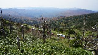 あんまりこの道の凄さが伝わっていないのがちょっと残念に思います