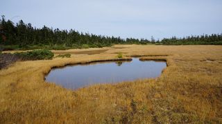 索道を進んだ先にちょっとした展望所があって