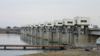 東京の水道事業の要衝、利根川上流部の各ダムからの水はここから武蔵水路を経て荒川経由で東京へ導水されます