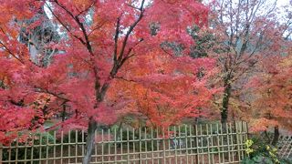 紅葉はやはりここに尽きる