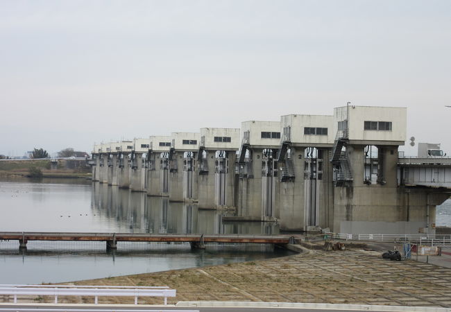 東京の水道事業の要衝、利根川上流部の各ダムからの水はここから武蔵水路を経て荒川経由で東京へ導水されます