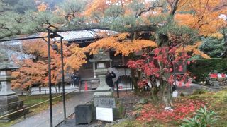 よく手入れされた庭がすばらしい