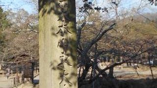 時間を忘れて楽しめました