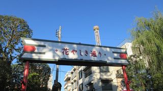 物寂しい通りです。