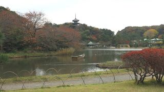 四季を通じて楽しめる