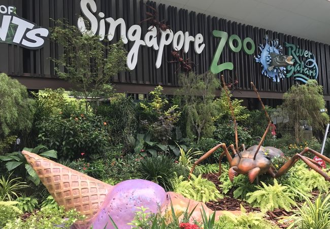 シンガポール動物園