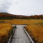 八幡平ではよくある景色と言えばそうなんですが