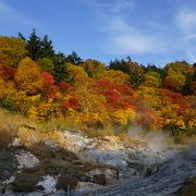 こちらも屋外露天風呂がやっぱりすごい