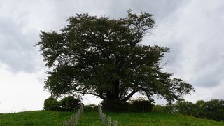 田んぼの真ん中みたいなところにあるので