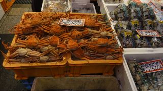 午前中は活気あり