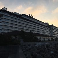 朝の散歩  寒かった