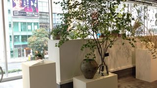 ナチュラル系でオシャレな小物が充実