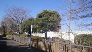 玉川用水から分岐された用水