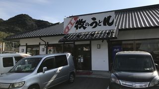 これぞ博多うどん