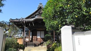 見ごたえのある本堂は必見です。