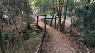 夕陽がとても綺麗です