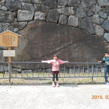 子供と比べると本当に大きい！