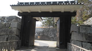 本当に大きい！！すごいです！