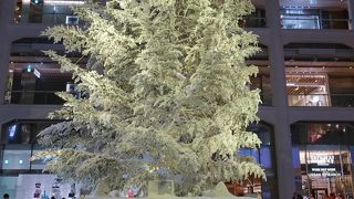 吹き抜け空間の巨大ツリーが圧巻でした