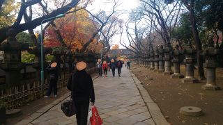 ずらりと並んでいます