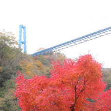 紅葉と竜神大吊橋
