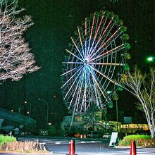 観覧車のイルミネーション。