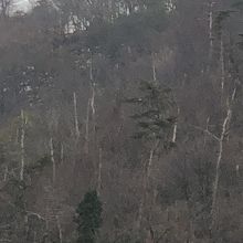 どこに居るか？私にはわかります。