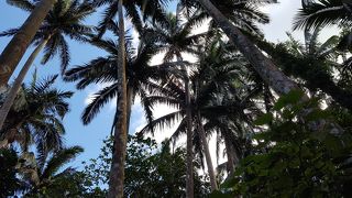 あっけないですが個人的には好き