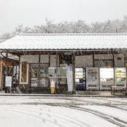 雪に負けました・・・