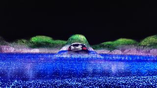 くまもん　イルミネーション