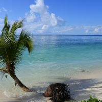 ホテル近隣の海です