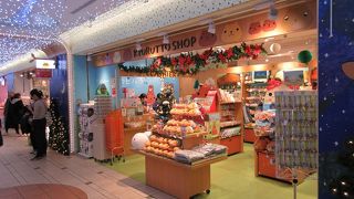 カピバラという動物自体、些かマイナーですが。