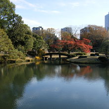 六義園 田鶴橋 