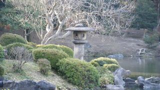 大きな灯篭がいくつかあります