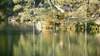 龍に見えるような見えないような